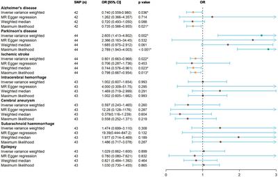 Exploring the bidirectional causal link between household income status and genetic susceptibility to neurological diseases: findings from a Mendelian randomization study